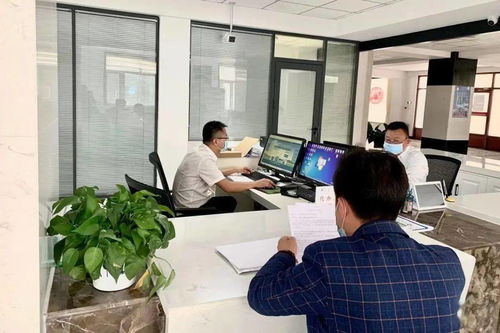 腾格里经济技术开发区 行政审批与政务服务局以简化审批、优化服务为引擎，助推信息技术咨询服务领域投资兴业